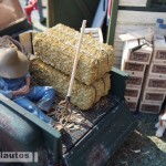 marcelo baiamonte modellautosdiorama Red Neck Nutties P2015 22